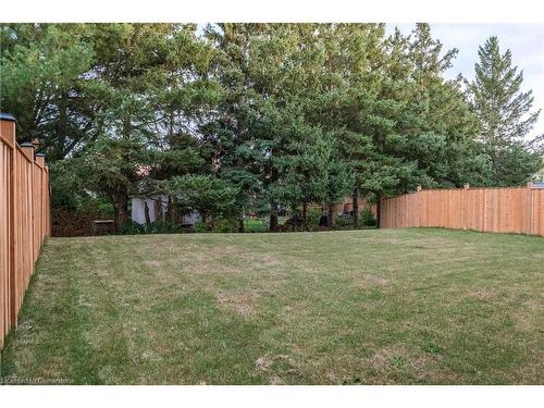 64 Burton Street, Innerkip, ON - Outdoor With Backyard