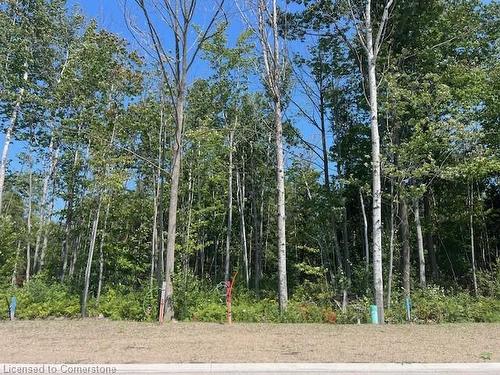 Lot 77 Mapleside Drive, Wasaga Beach, ON 