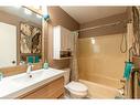 554 Oxbow Crescent, Collingwood, ON  - Indoor Photo Showing Bathroom 