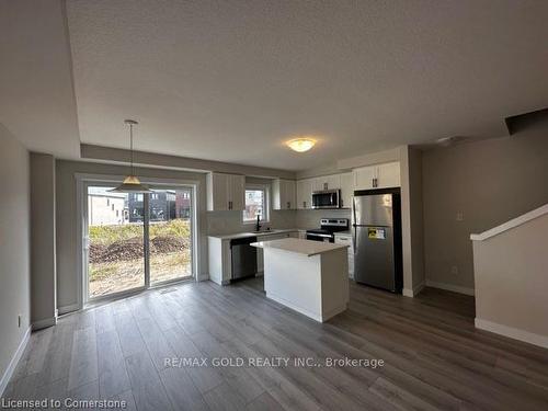 17 Wilkinson Avenue, Cambridge, ON - Indoor Photo Showing Kitchen