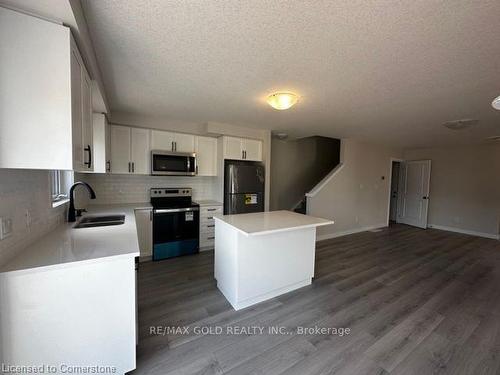 17 Wilkinson Avenue, Cambridge, ON - Indoor Photo Showing Kitchen With Double Sink