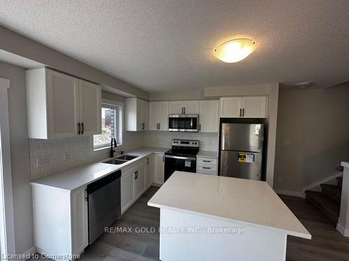 17 Wilkinson Avenue, Cambridge, ON - Indoor Photo Showing Kitchen With Double Sink