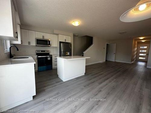 17 Wilkinson Avenue, Cambridge, ON - Indoor Photo Showing Kitchen