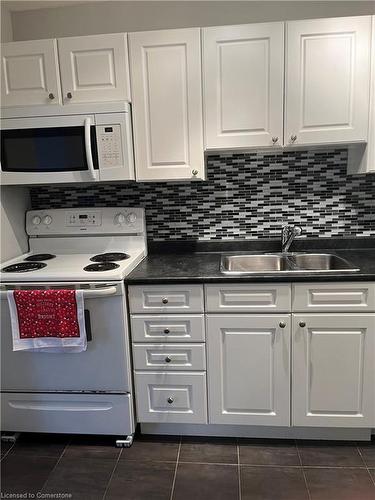 850 Datzell Lane, Kingston, ON - Indoor Photo Showing Kitchen With Double Sink