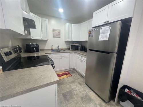 209 Murray Street, Wallaceburg, ON - Indoor Photo Showing Kitchen With Double Sink