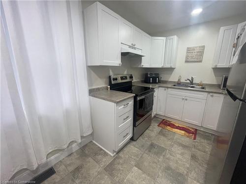 209 Murray Street, Wallaceburg, ON - Indoor Photo Showing Kitchen With Double Sink