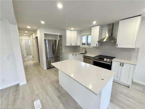 377 Jackson Street W, Hamilton, ON - Indoor Photo Showing Kitchen With Upgraded Kitchen