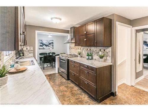 20 Chelvin Drive, Halton Hills, ON - Indoor Photo Showing Kitchen With Double Sink