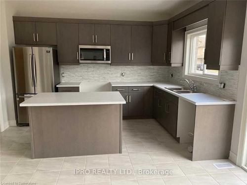 420 Julia Drive, Welland, ON - Indoor Photo Showing Kitchen With Double Sink With Upgraded Kitchen