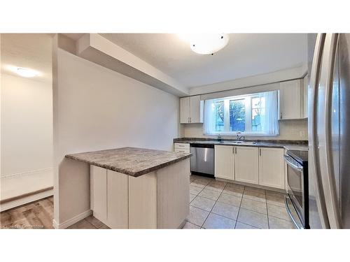 184 Maitland Street, Kitchener, ON - Indoor Photo Showing Kitchen With Double Sink