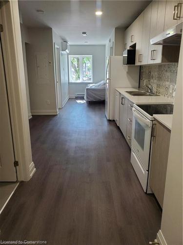 202-307 King Street, Hamilton, ON - Indoor Photo Showing Kitchen