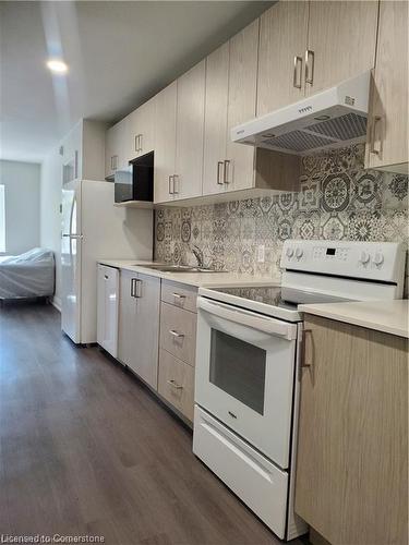 202-307 King Street, Hamilton, ON - Indoor Photo Showing Kitchen