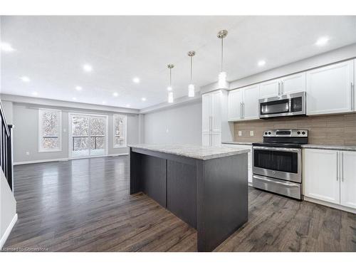 185 Maitland Street, Kitchener, ON - Indoor Photo Showing Kitchen With Upgraded Kitchen