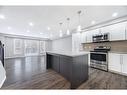 185 Maitland Street, Kitchener, ON  - Indoor Photo Showing Kitchen With Upgraded Kitchen 