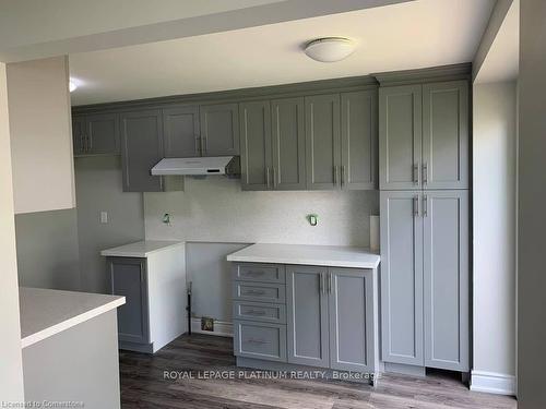 70 Carmine Crescent, Cambridge, ON - Indoor Photo Showing Kitchen