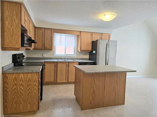 324 Mountain Laurel Crescent, Kitchener, ON - Indoor Photo Showing Kitchen With Double Sink