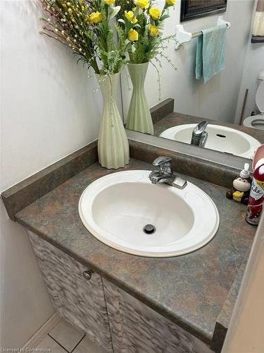 8 Mountain Laurel Crescent, Kitchener, ON - Indoor Photo Showing Bathroom