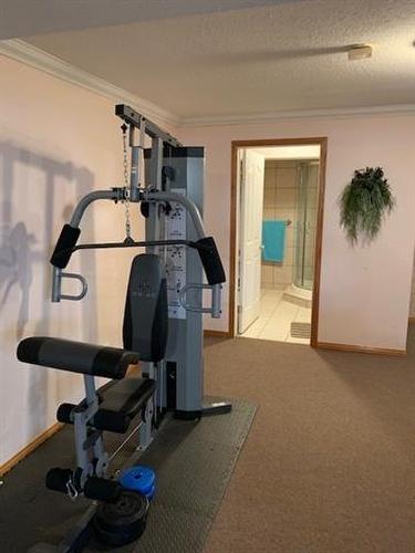13427 Lakeland Drive, Lac La Biche, AB - Indoor Photo Showing Gym Room
