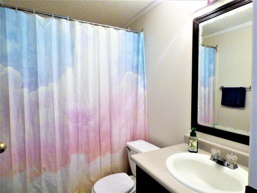 146 Woodward Crescent, Anzac, AB - Indoor Photo Showing Bathroom