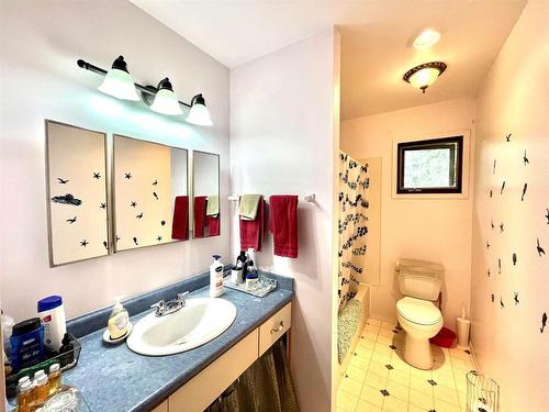 65018 Highway 36, Rural Lac La Biche County, AB - Indoor Photo Showing Bathroom
