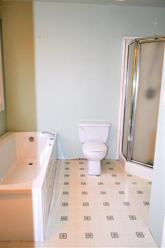 67425 Mission Road, Lac La Biche, AB - Indoor Photo Showing Bathroom