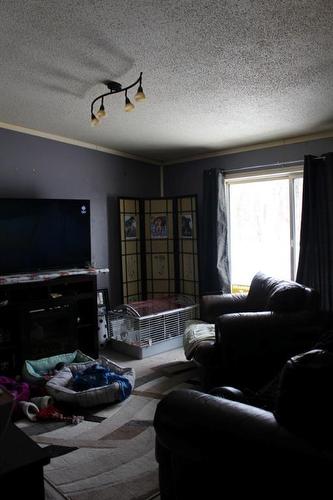 131 Pine Lane, Conklin, AB - Indoor Photo Showing Living Room