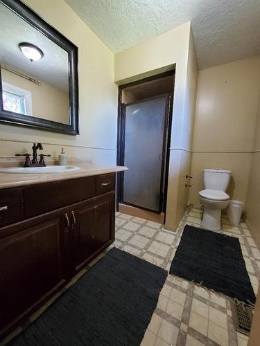 16303 Birch Grove Road, Plamondon, AB - Indoor Photo Showing Bathroom