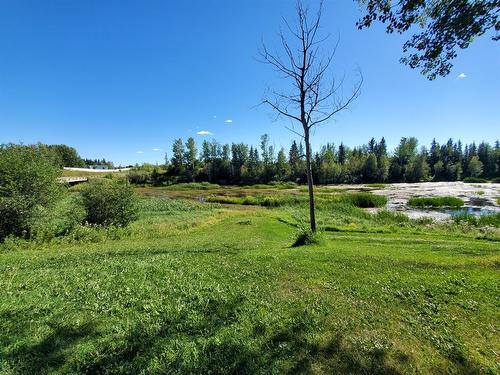 16303 Birch Grove Road, Plamondon, AB - Outdoor With View