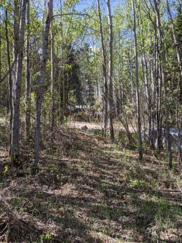 234-15538 Old Trail, Plamondon, AB 