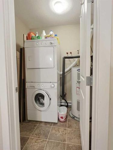 316-236 Stony Mountain Road, Anzac, AB - Indoor Photo Showing Laundry Room