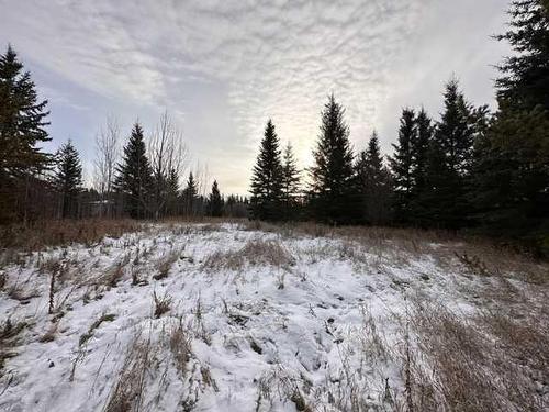 20-68165 Campsite Road, Plamondon, AB 