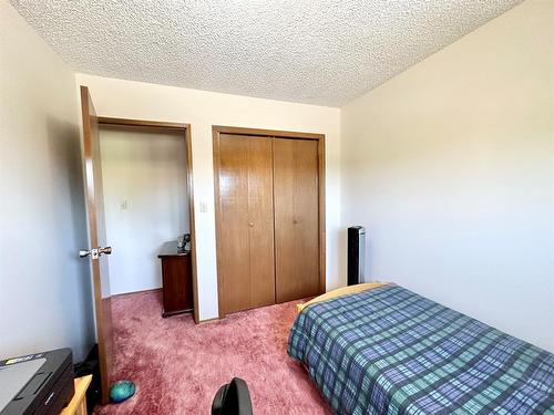 9607 94 Street, Lac La Biche, AB - Indoor Photo Showing Bedroom