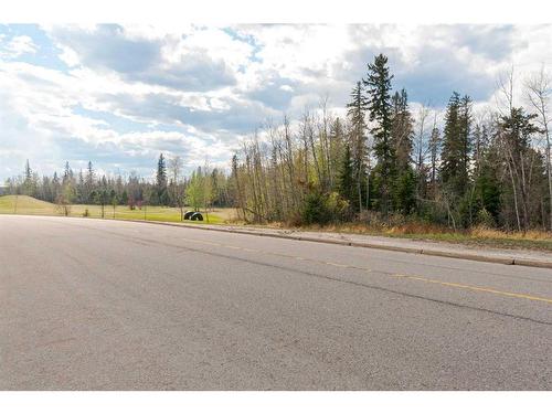 197 Ross Haven Drive, Fort Mcmurray, AB - Outdoor With View