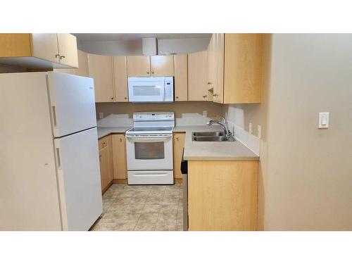 1411-200 Lougheed Drive, Fort Mcmurray, AB - Indoor Photo Showing Kitchen With Double Sink