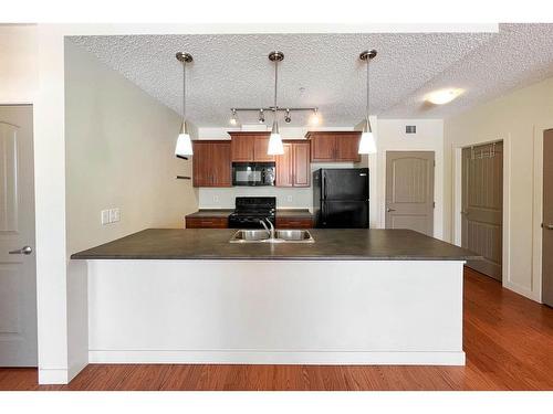 1209-204 Sparrow Hawk Drive, Fort Mcmurray, AB - Indoor Photo Showing Kitchen With Double Sink