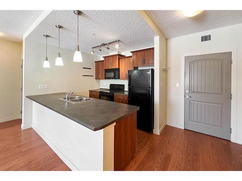 1209-204 Sparrow Hawk Drive, Fort Mcmurray, AB - Indoor Photo Showing Kitchen With Double Sink