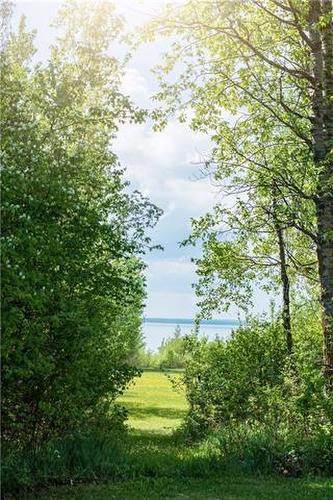 153 & 157 Lakeshore Drive, Lac La Biche, AB - Outdoor With View