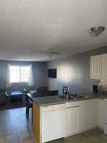 271,275,279,283,287 Mustang Road, Fort Mcmurray, AB - Indoor Photo Showing Kitchen With Double Sink
