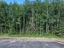 Lot 9 Campsite Road, Plamondon, AB 