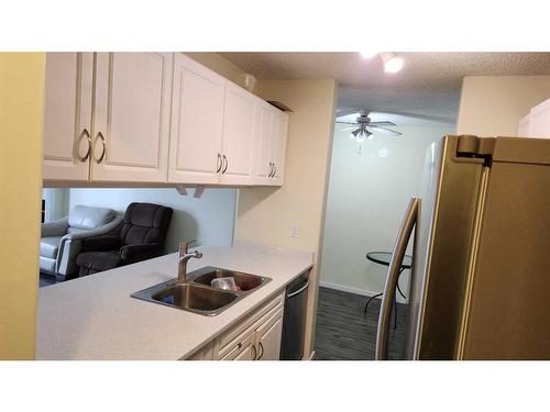 203-100 Richard Street, Fort Mcmurray, AB - Indoor Photo Showing Kitchen With Double Sink