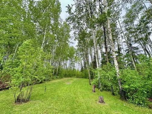 276 Ermine Crescent, Fort Mcmurray, AB - Outdoor With View