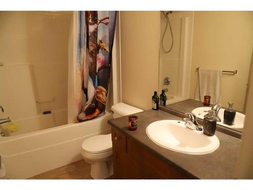 2110-204 Sparrow Hawk Drive, Fort Mcmurray, AB - Indoor Photo Showing Bathroom