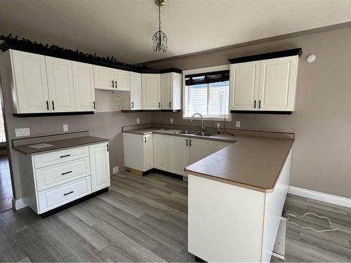 223 Williams Drive, Fort Mcmurray, AB - Indoor Photo Showing Kitchen With Double Sink