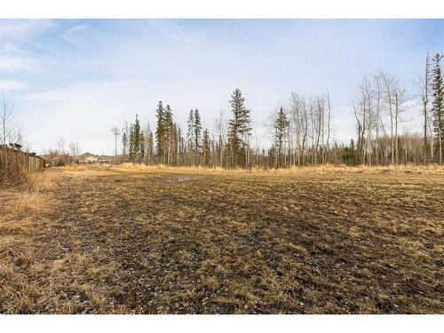 280 Burton Place, Fort Mcmurray, AB - Outdoor With View