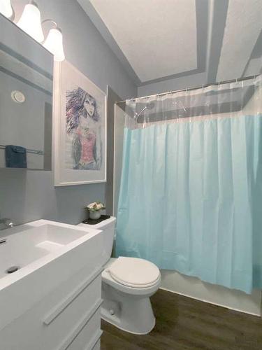 459 Prospect Drive, Fort Mcmurray, AB - Indoor Photo Showing Bathroom