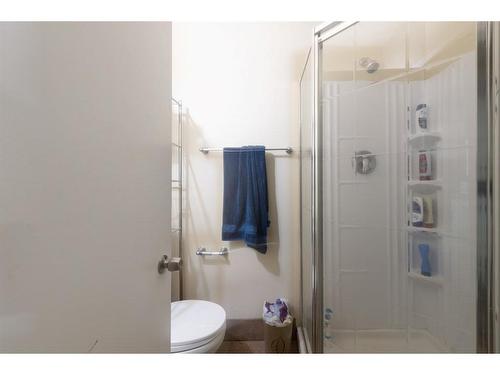 119 Pew Lane, Fort Mcmurray, AB - Indoor Photo Showing Bathroom