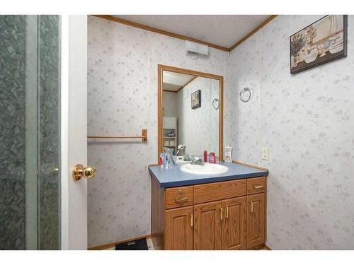 100 Grey Owl Place Sw, Fort Mcmurray, AB - Indoor Photo Showing Bathroom