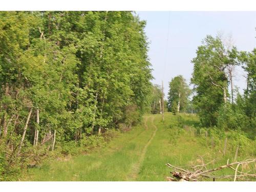 65101-Rge Rd 113, Rural Lac La Biche County, AB - Outdoor With View