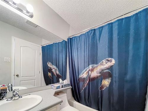 131-200 Richard Street, Fort Mcmurray, AB - Indoor Photo Showing Bathroom