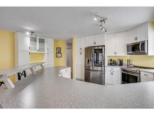 252 Torrie Crescent, Fort Mcmurray, AB - Indoor Photo Showing Kitchen With Stainless Steel Kitchen